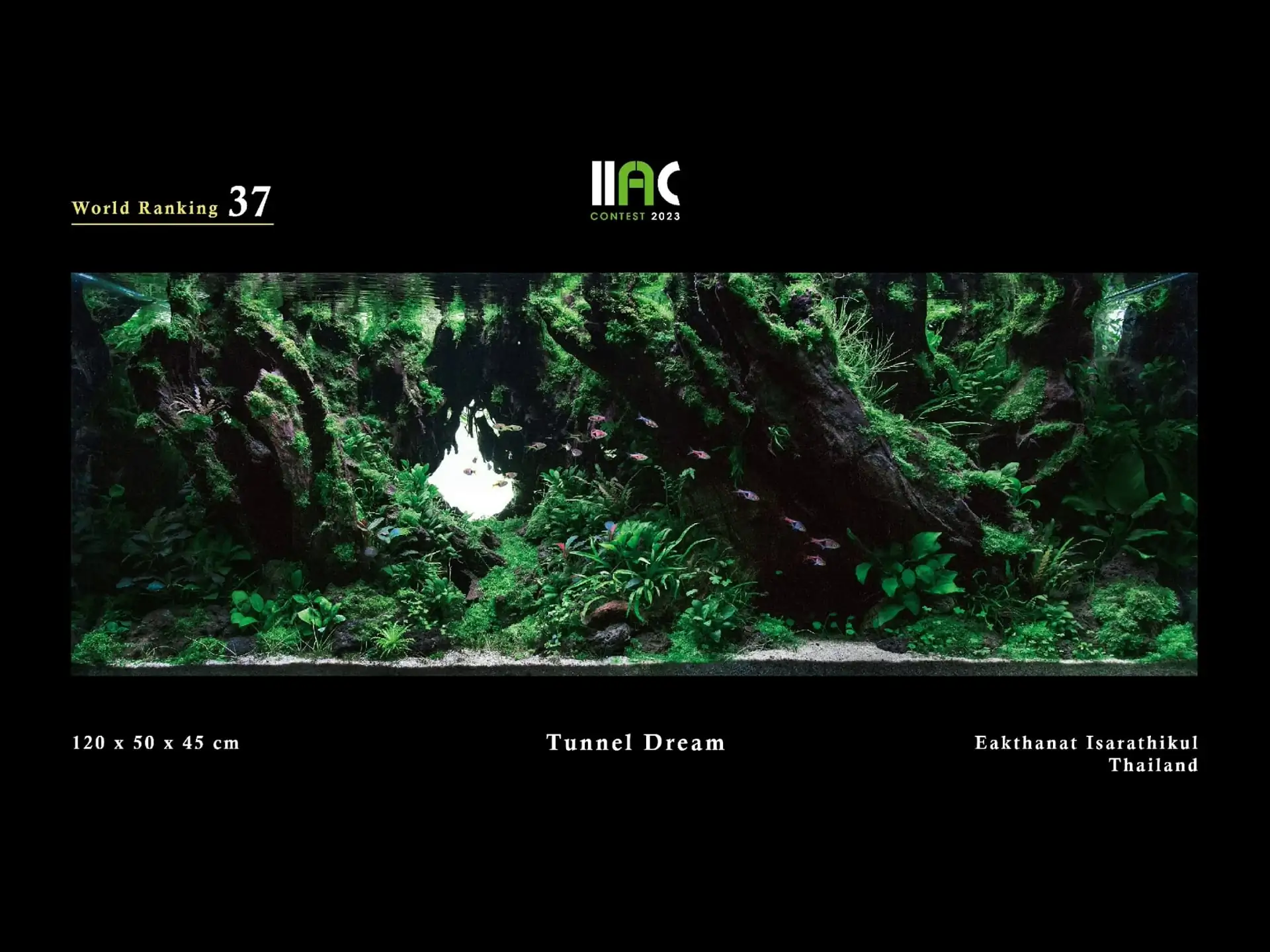 Tunnel Dream - IIAC 2023 #37 Eakthanat Isarathikul / Thailand